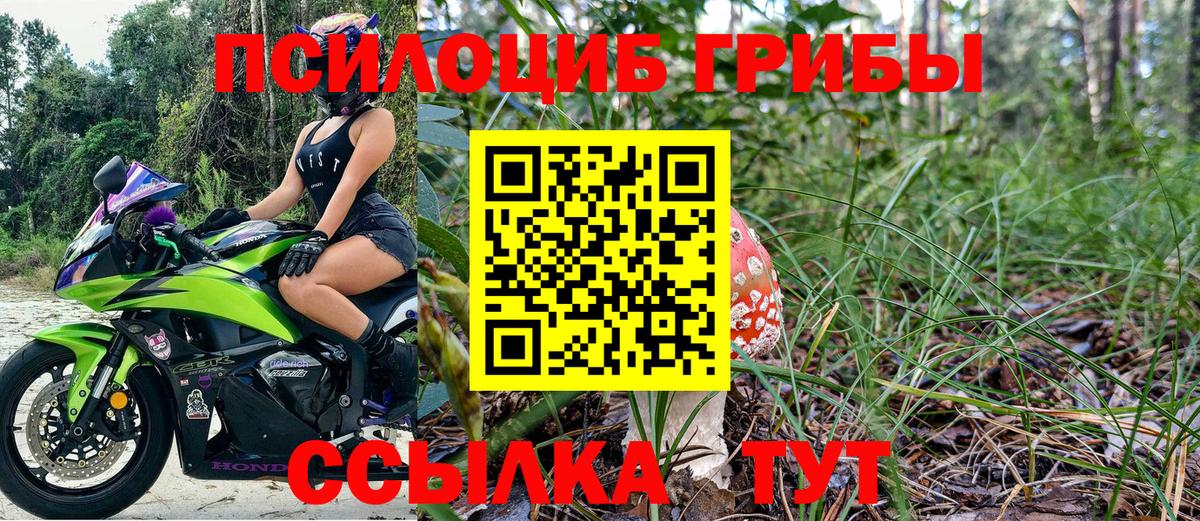 Псилоцибиновые грибы мицелий Ейск