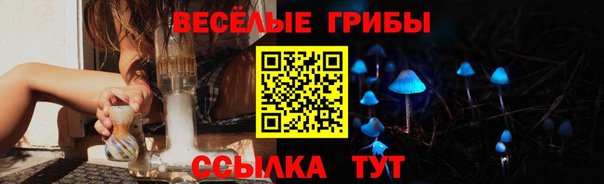 закладка  Вход с VPN  Ейск  Галлюциногенные грибы прущие грибы 